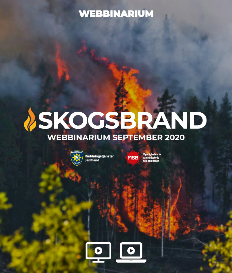 Skogsbrand 2020