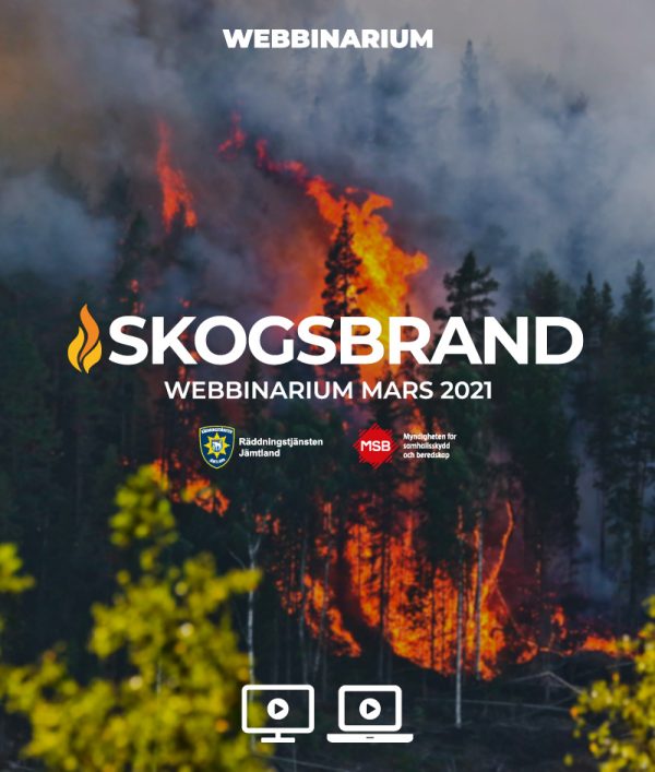Skogsbrand 2021